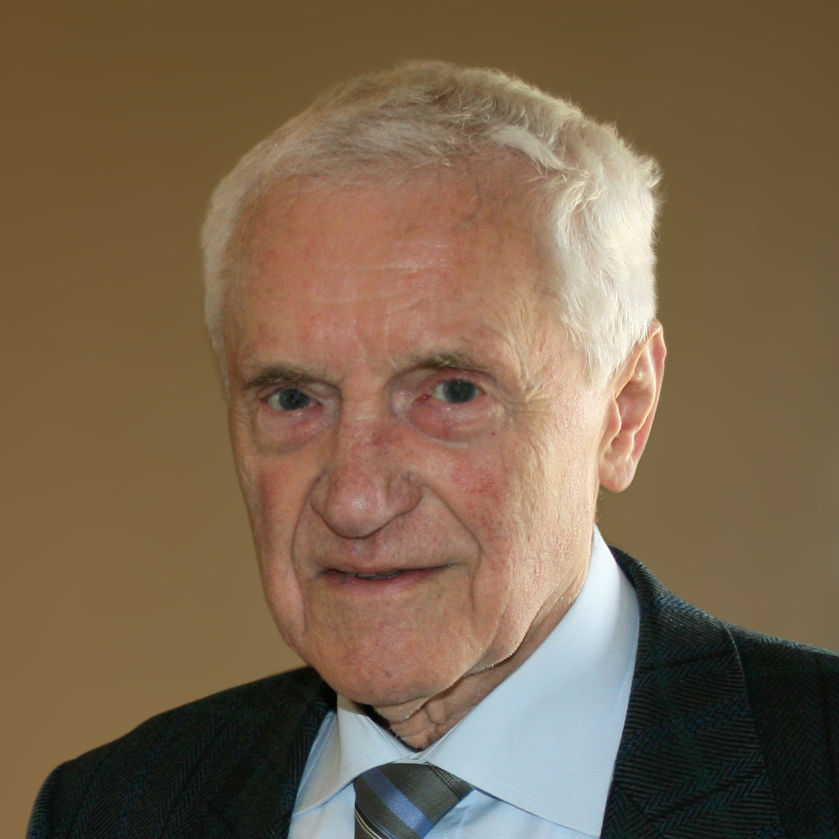 Michel Van De Sijpe Website