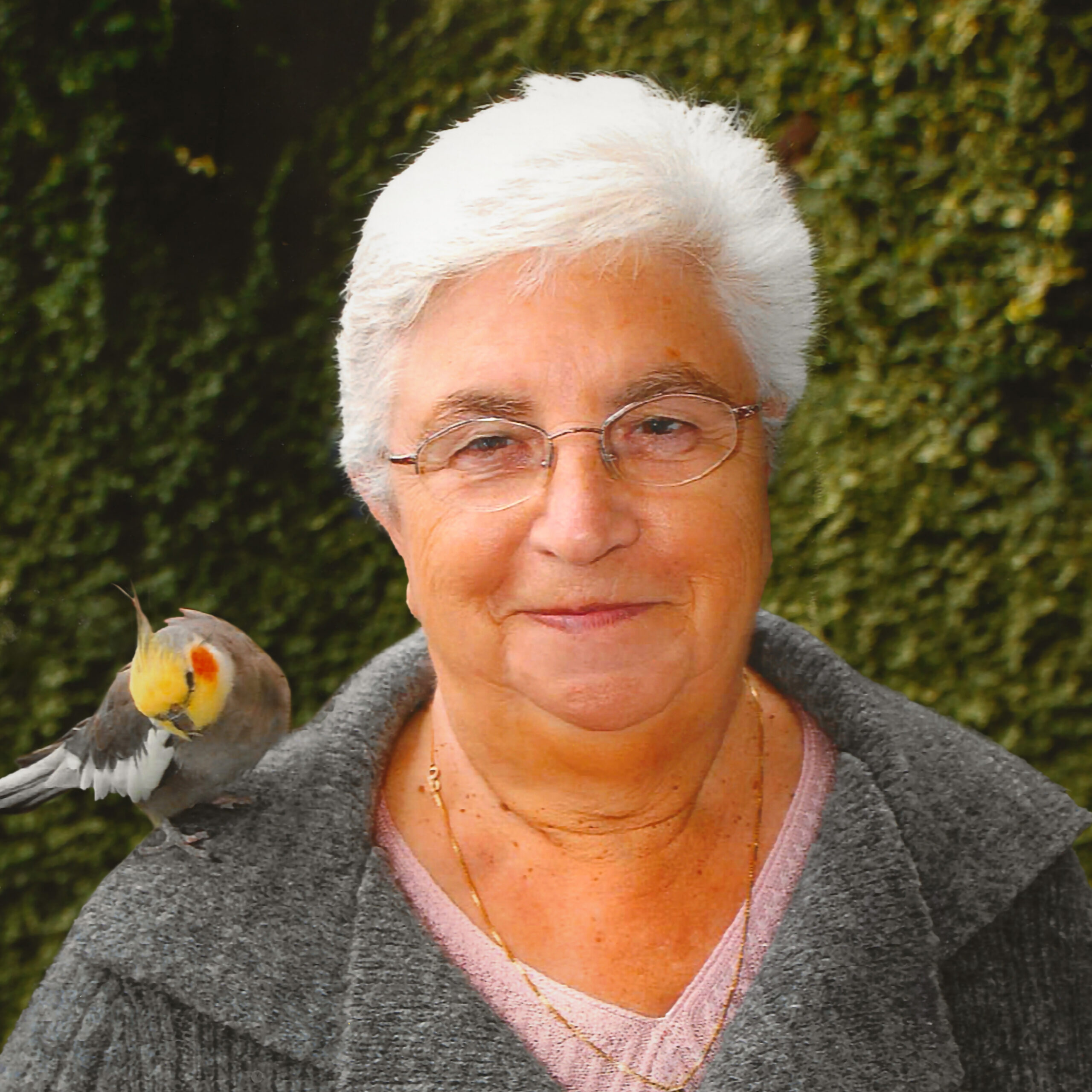 Vanden Brulle Fernanda Bewerkt Website